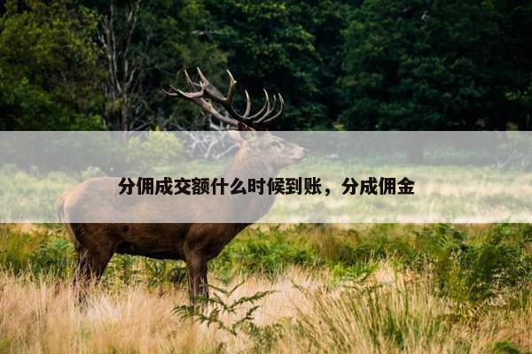 分佣成交额什么时候到账，分成佣金