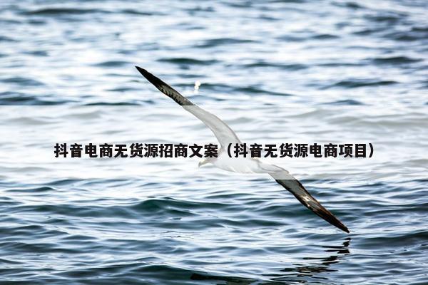 抖音电商无货源招商文案（抖音无货源电商项目）