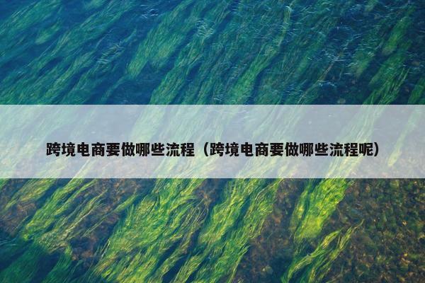 跨境电商要做哪些流程（跨境电商要做哪些流程呢）