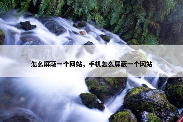 怎么屏蔽一个网站，手机怎么屏蔽一个网站
