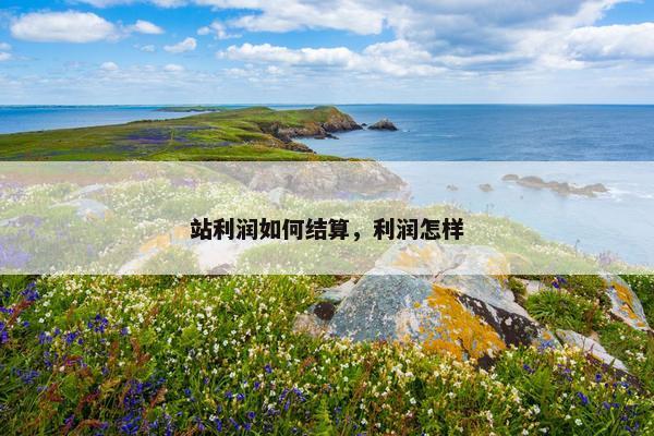 站利润如何结算，利润怎样