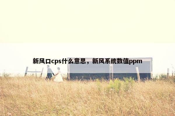 新风口cps什么意思，新风系统数值ppm