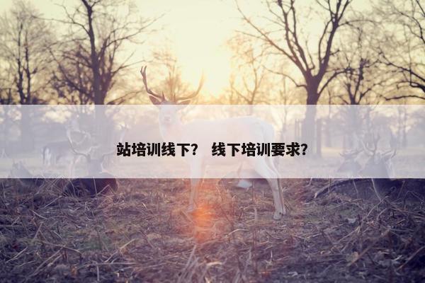 站培训线下？ 线下培训要求？