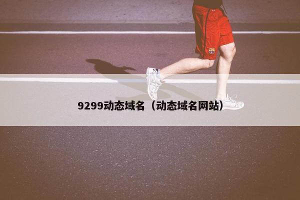 9299动态域名（动态域名网站）