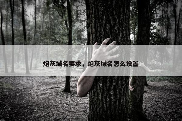 炮灰域名要求，炮灰域名怎么设置