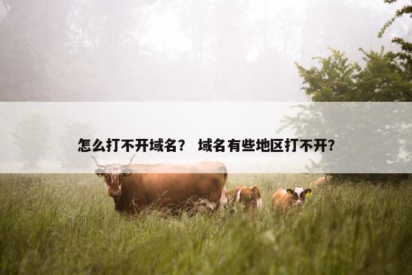 怎么打不开域名？ 域名有些地区打不开？