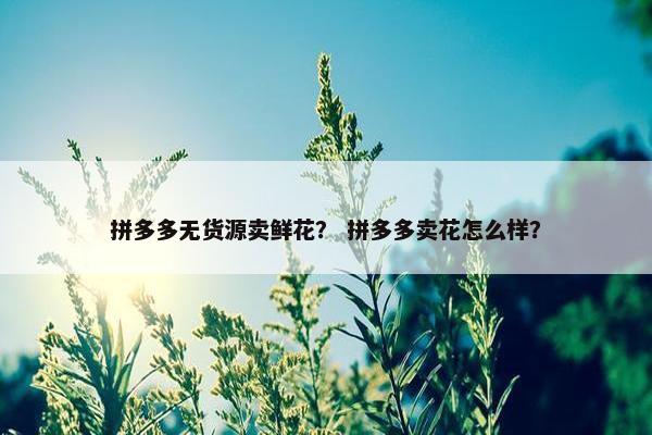拼多多无货源卖鲜花？ 拼多多卖花怎么样？