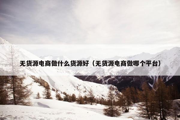 无货源电商做什么货源好（无货源电商做哪个平台）