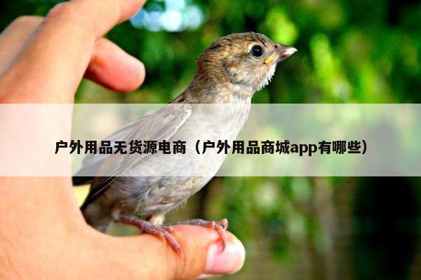 户外用品无货源电商（户外用品商城app有哪些）