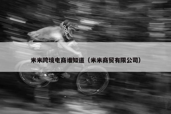 米米跨境电商谁知道（米米商贸有限公司）