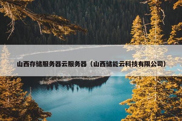 山西存储服务器云服务器（山西储能云科技有限公司）
