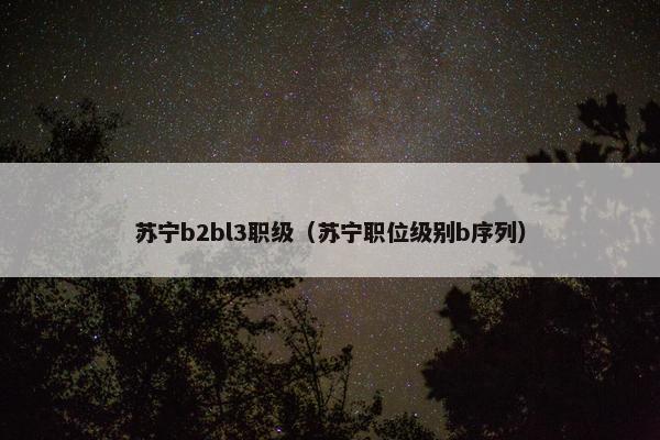 苏宁b2bl3职级（苏宁职位级别b序列）