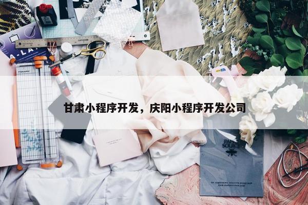 甘肃小程序开发，庆阳小程序开发公司