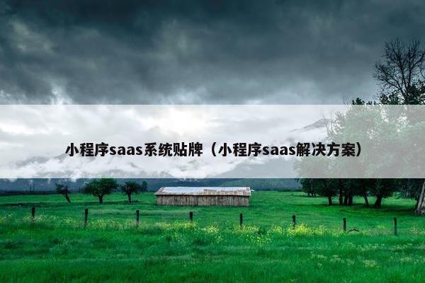 小程序saas系统贴牌（小程序saas解决方案）