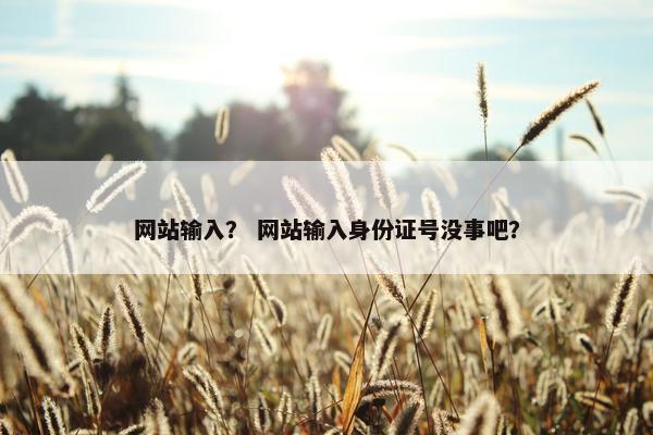 网站输入？ 网站输入身份证号没事吧？