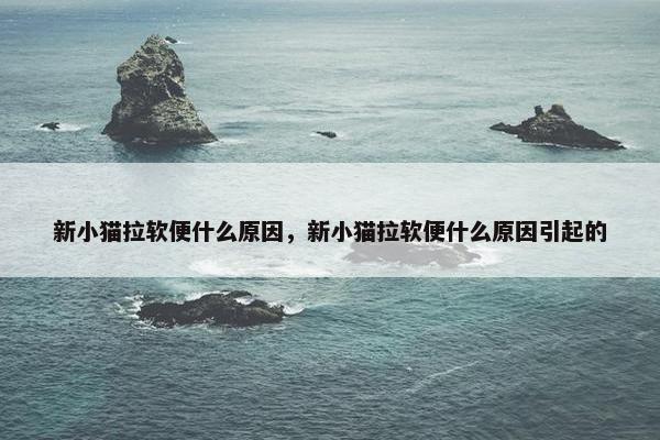 新小猫拉软便什么原因，新小猫拉软便什么原因引起的