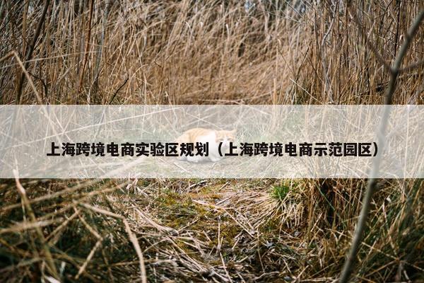 上海跨境电商实验区规划（上海跨境电商示范园区）
