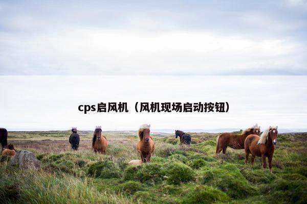 cps启风机（风机现场启动按钮）