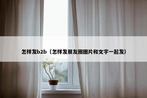 怎样发b2b（怎样发朋友圈图片和文字一起发）