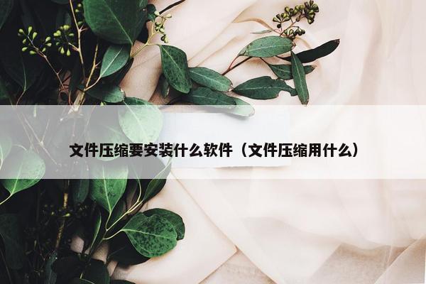 文件压缩要安装什么软件（文件压缩用什么）