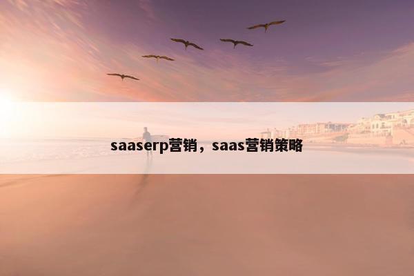 saaserp营销，saas营销策略
