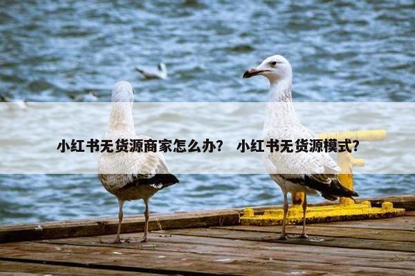 小红书无货源商家怎么办？ 小红书无货源模式？