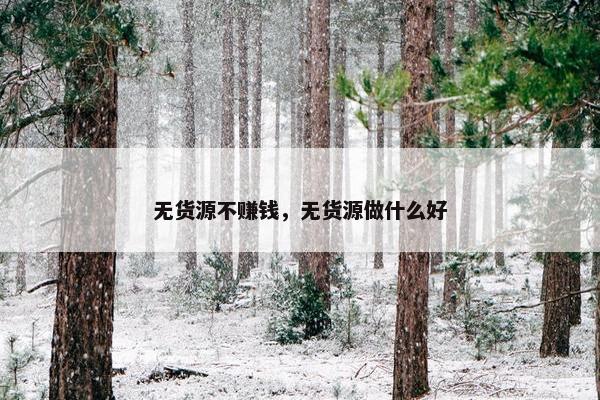 无货源不赚钱，无货源做什么好