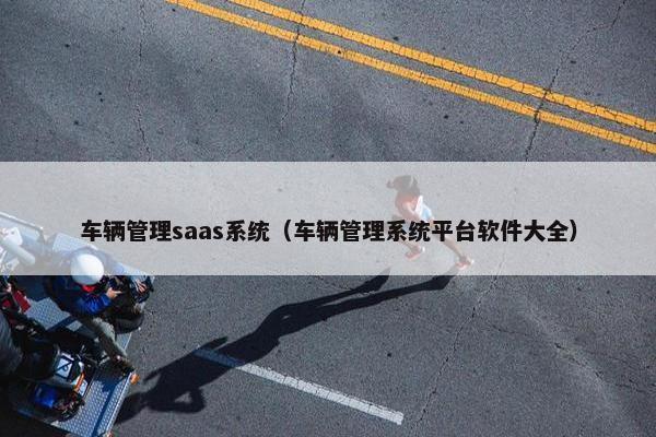 车辆管理saas系统（车辆管理系统平台软件大全）