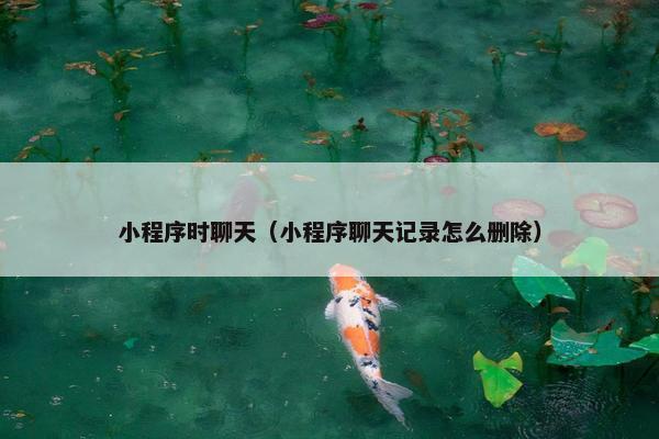 小程序时聊天（小程序聊天记录怎么删除）