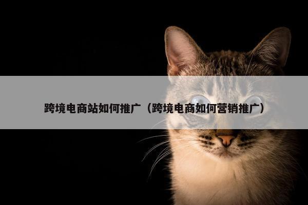 跨境电商站如何推广（跨境电商如何营销推广）