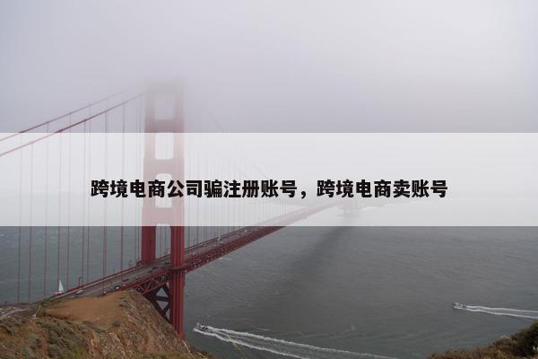 跨境电商公司骗注册账号，跨境电商卖账号