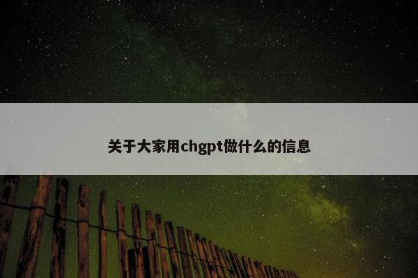 关于大家用chgpt做什么的信息