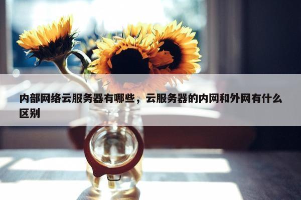 内部网络云服务器有哪些，云服务器的内网和外网有什么区别