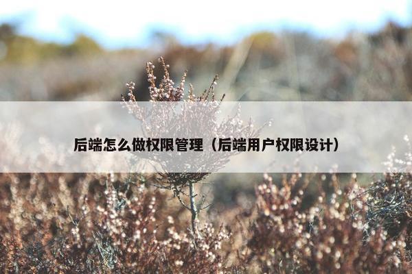 后端怎么做权限管理（后端用户权限设计）