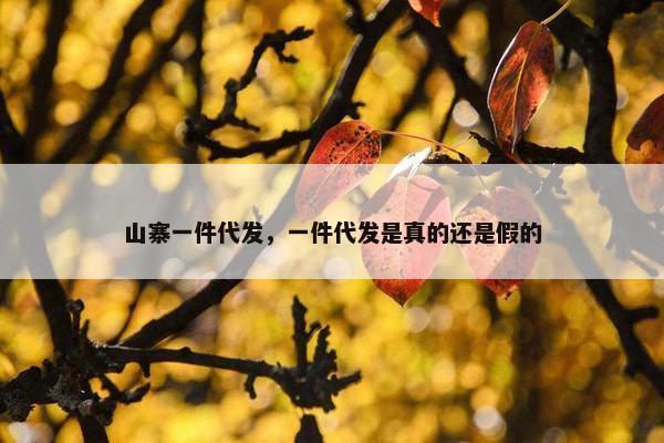 山寨一件代发，一件代发是真的还是假的