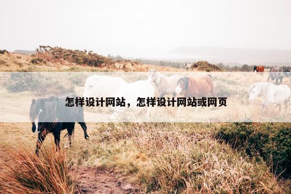 怎样设计网站，怎样设计网站或网页