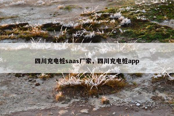 四川充电桩saas厂家，四川充电桩app