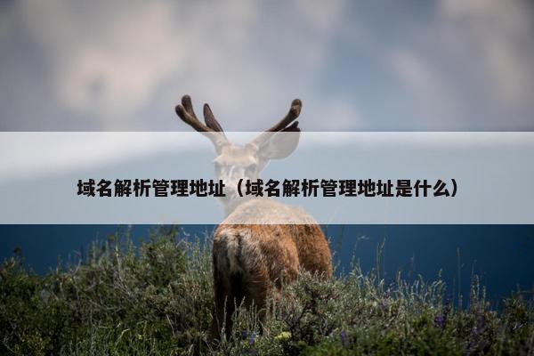 域名解析管理地址（域名解析管理地址是什么）