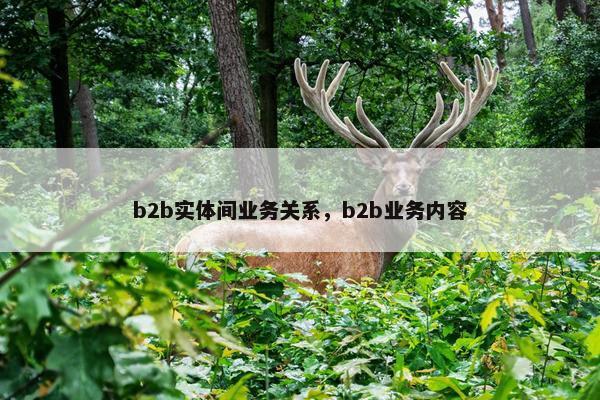 b2b实体间业务关系，b2b业务内容
