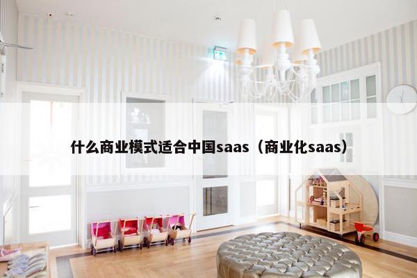 什么商业模式适合中国saas（商业化saas）