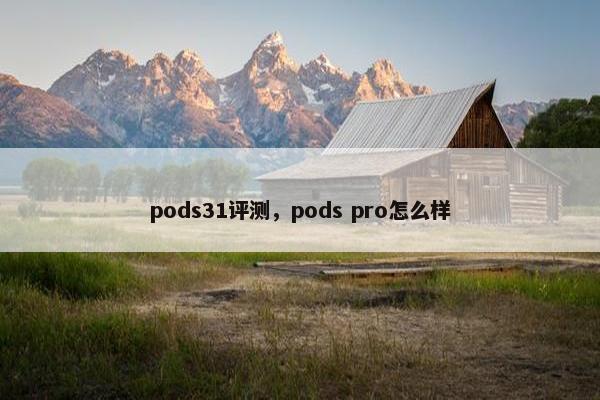 pods31评测，pods pro怎么样
