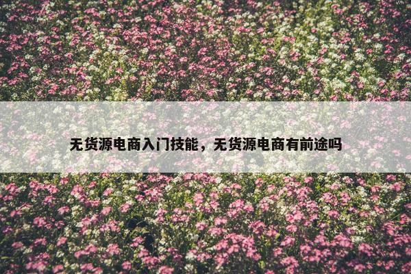 无货源电商入门技能，无货源电商有前途吗