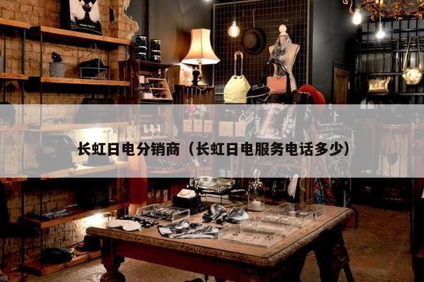 长虹日电分销商（长虹日电服务电话多少）