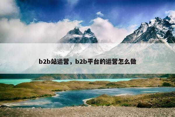 b2b站运营，b2b平台的运营怎么做