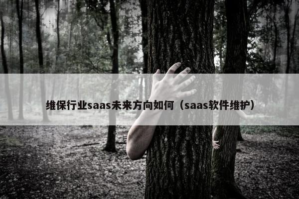 维保行业saas未来方向如何（saas软件维护）