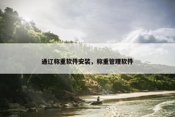 通辽称重软件安装，称重管理软件