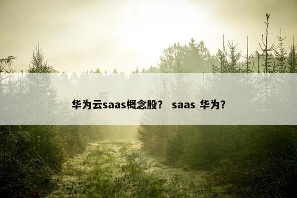 华为云saas概念股？ saas 华为？