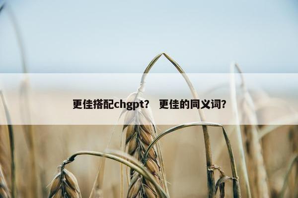 更佳搭配chgpt？ 更佳的同义词？