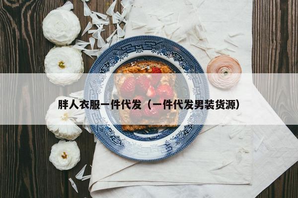 胖人衣服一件代发（一件代发男装货源）