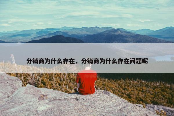 分销商为什么存在，分销商为什么存在问题呢